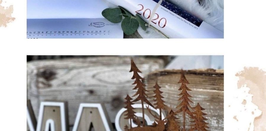 Nona Edizione Calendario Angsa